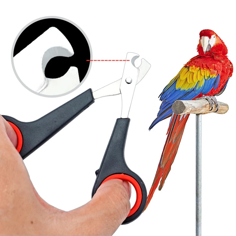 Grooming Scissors - กรรไกรตัดเล็บสัตว์เลี้ยงขนาด 12 ซม. สำหรับนกแก้ว สุนัข แมว