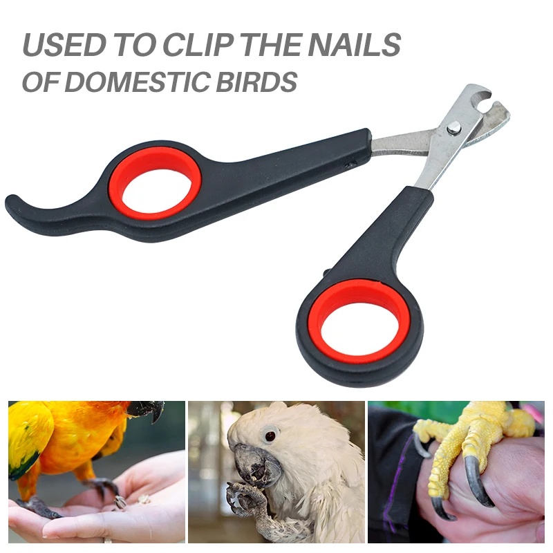 กรรไกรตัดเล็บสัตว์เลี้ยงขนาด 1 - Grooming Scissors บทวิจารณ์และราคา