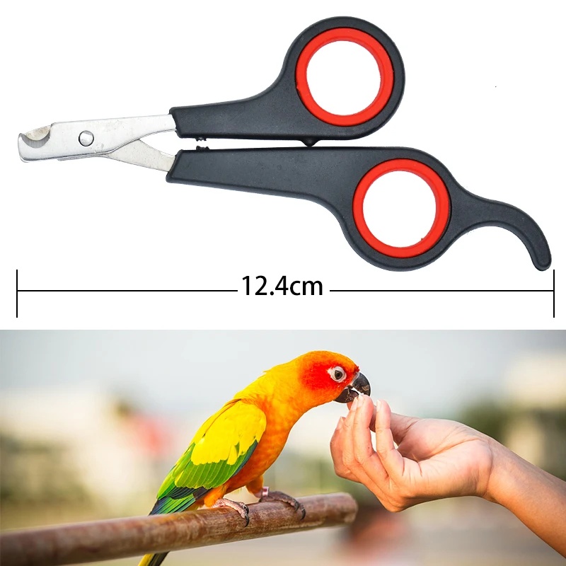กรรไกรตัดเล็บสัตว์เลี้ยงขนาด 1 - Grooming Scissors บทวิจารณ์และราคา